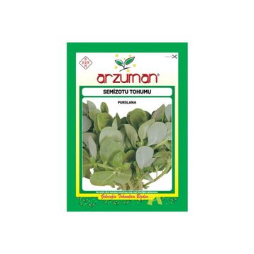 Arzuman 10 gr Geniş Yapraklı Semizotu Tohumu