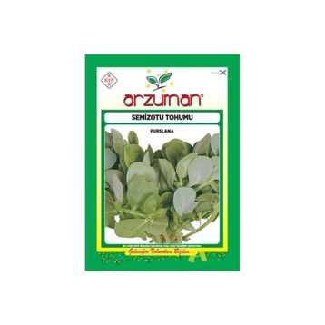 Arzuman 10 gr Geniş Yapraklı Semizotu Tohumu