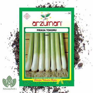 Arzuman 10 gr Pırasa Tohumu