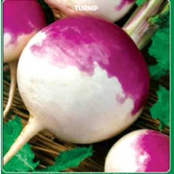Arzuman 10 gr Şalgam Tohumu