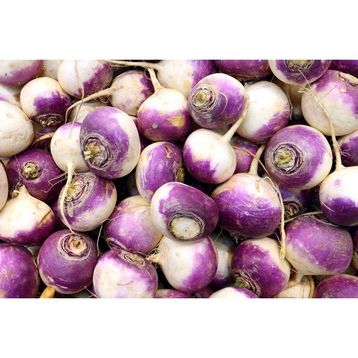 Arzuman 10 gr Şalgam Tohumu