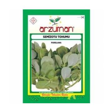 Arzuman 10 gr Semizotu Tohumu