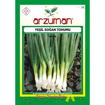 Arzuman 10 gr Yeşil Soğan Tohumu