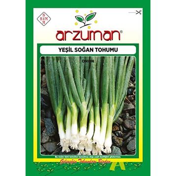 Arzuman 10 gr Yeşil Soğan Tohumu