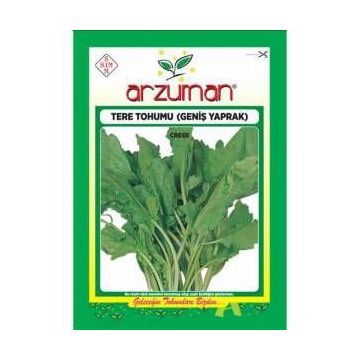 Arzuman 25 Gr Tere Tohumu Geniş Yapraklı Tere