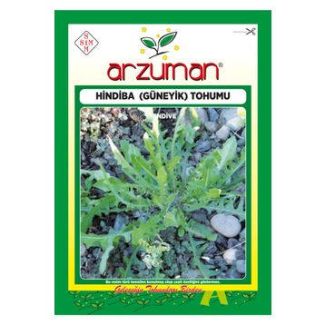 Arzuman 5 Gr Hindiba Güneyik Tohumu