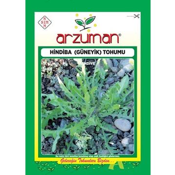 Arzuman 5 Gr Hindiba Güneyik Tohumu