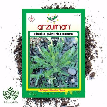 Arzuman 5 gr Radika Hindiba Güneyik Tohumu