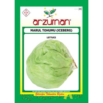 Arzuman 5gr Iceberg Marul Tohumu