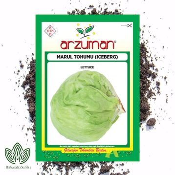 Arzuman 5gr Iceberg Marul Tohumu