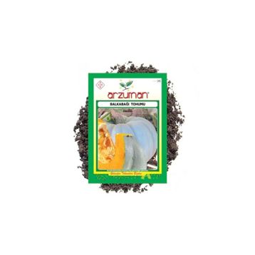 Arzuman Arıcan 97 Balkabağı Tohumu