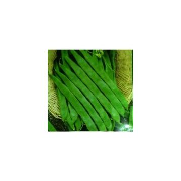 Arzuman Fasulye Geniş Helda 50 gr Tohum