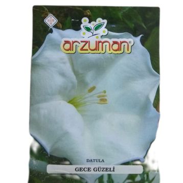 Arzuman Gece Güzeli Datula 15 Adet Tohum