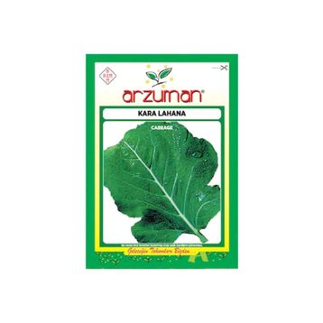 Arzuman Karalahana Tohumu