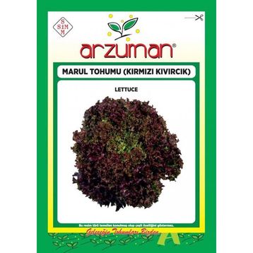 Arzuman Kırmızı Kıvırcık Marul İthal Marul 5 gr Tohum