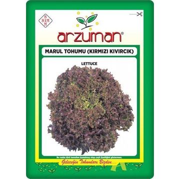 Arzuman Kırmızı Kıvırcık Marul İthal Marul 5 gr Tohum