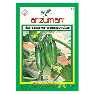 Arzuman Salatalık Nasuhi Hibrit Sırık Hıyar Tohumu