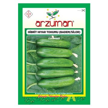 Arzuman Salatalık Nasuhi Hibrit Sırık Hıyar Tohumu