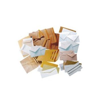 Asil Formula 100 gr 250'li 24x32 cm Torba Zarf