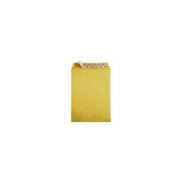 Asil Formula 100 gr 250'li 24x32 cm Torba Zarf