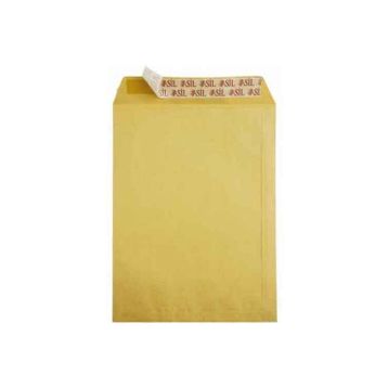 Asil Formula 100 gr 250'li 24x32 cm Torba Zarf