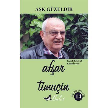 Aşk Güzeldir - Afşar Timuçin