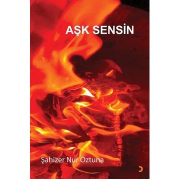 Aşk Sensin - Şahizer Nur Öztuna