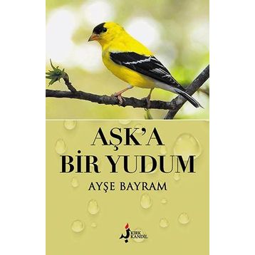 Aşk'a Bir Yudum - Ayşe Bayram
