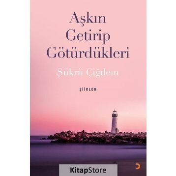 Aşkın Getirip Götürdükleri - Şükrü Çiğdem