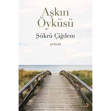 Aşkın Öyküsü - Şükrü Çiğdem