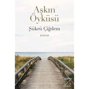 Aşkın Öyküsü - Şükrü Çiğdem