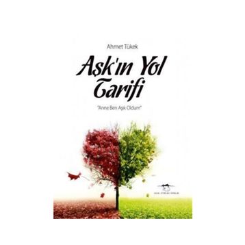 Aşkın Yol Tarifi - Ahmet Tükek