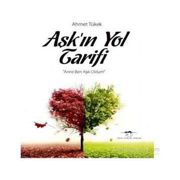 Aşkın Yol Tarifi - Ahmet Tükek