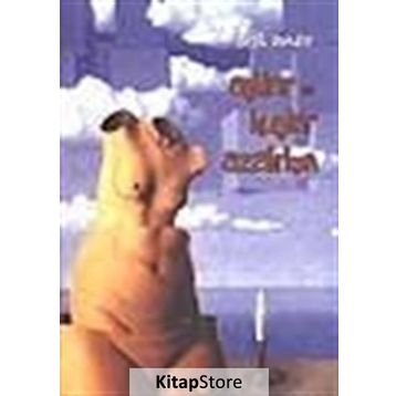 AŞKLAR VE KUŞLAR AZALIRKEN - EROL ANAR