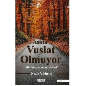 Aşkta Vuslat Olmuyor - Bir Bürokratın Not Defteri - Nezih Yıldırım