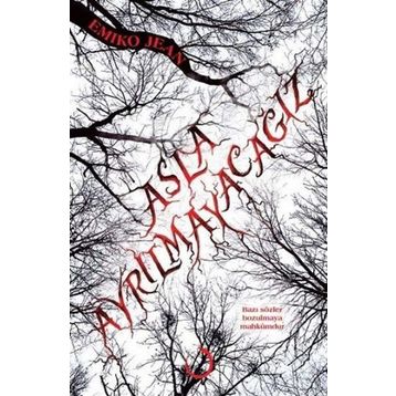 Asla Ayrılmayacağız - Emiko Jean