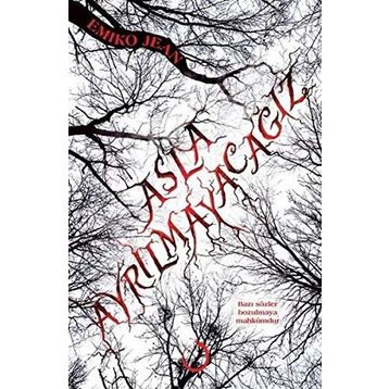 Asla Ayrılmayacağız - Emiko Jean