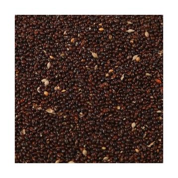 Aslımlar 1 kg Siyah Darı Kuş Yemi