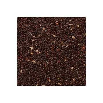 Aslımlar 1 kg Siyah Darı Kuş Yemi