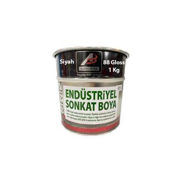 Asrın Rapid Siyah 1 kg Endüstriyel Boya