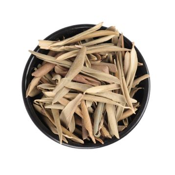 Astera 100 gr Zeytin Yaprağı