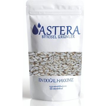 Astera 4 kg Aspir Tohumu