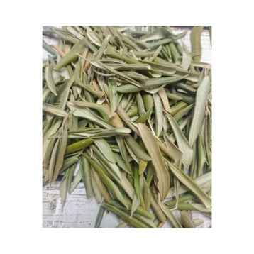 Astera 50 gr Zeytin Yaprağı