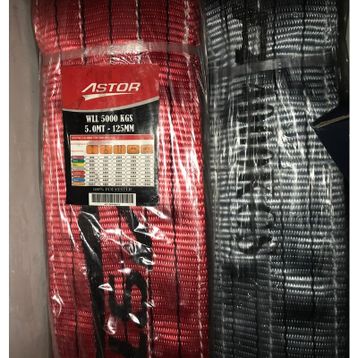 Astor 5 Ton 5 Metre Polyester Sapan