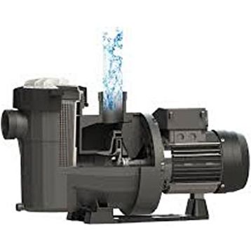 Astralpool Victoria Plus Silent 1,5 HP Trifaze Havuz Pompası