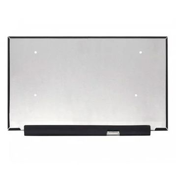Asus Hp Omen 15-EN1023NT 4H1U5EA Notebook Ekran