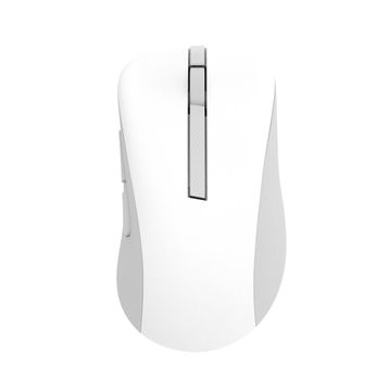 Asus MD102 Optik Kablosuz Mouse