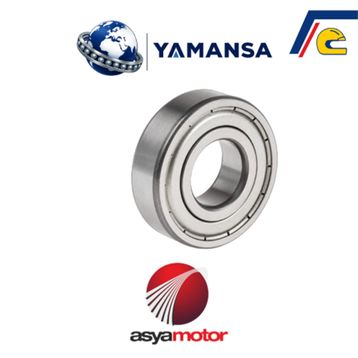 Asya Elegant 150 6205-ZZ C3 Krank Rulmanı