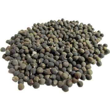 Atasagun Şifa 550 gr Bamya Tohumu