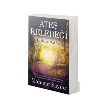 Ateş Kelebeği - Mahmut Sayılır